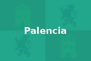 Tiendas de instrumentos musicales en la provincia de Palencia