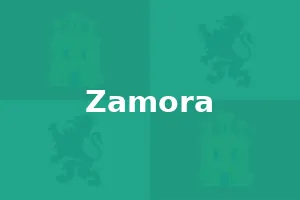Tiendas de instrumentos musicales en la provincia de Zamora